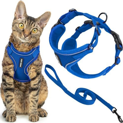 Voyager Escape-Proof Step-in Lock Cat Harness & 5ft Neoprene-Handle Leash Set All-Weather Mesh with Reflective Stitching for Small to Large Cats by Best Pet Supplies, Royal Blue (327), M