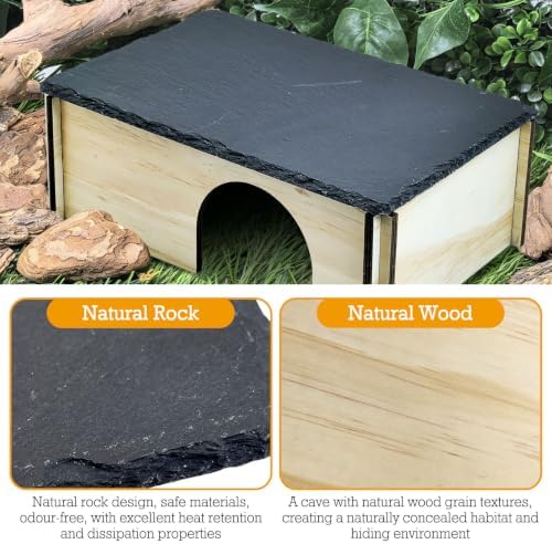 PINVNBY Large Bearded Dragon Basking Platform, Wooden Snake Hide, Ball Pythons Hide with Slate Rock, Leopard Gecko Tank Accessories for Geckos, Crested Gecko Chameleon Turtles (L: 11.8x7.87 inches)