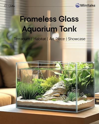 10 Gallon Rimless Glass Fish Tank, Easy to Maintain Small Aquarium