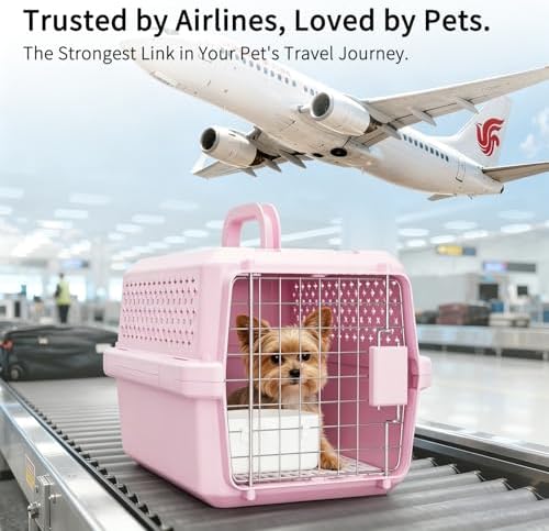 RIZZARI XS Hard Pet Carrier: Travel Crate for Small Cats & Dogs 10 lbs