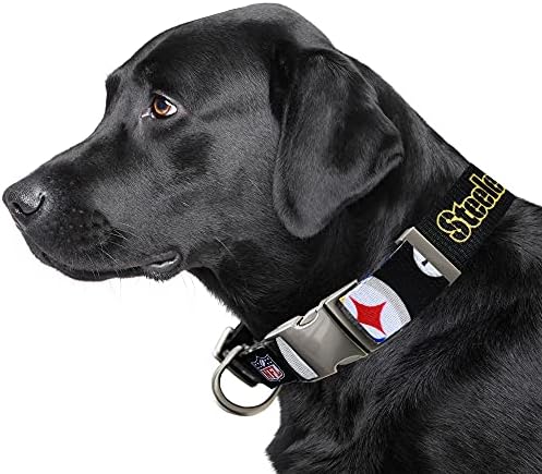 Littlearth NFL Detroit Lions Pet Premium Collar, Team Color, Small
