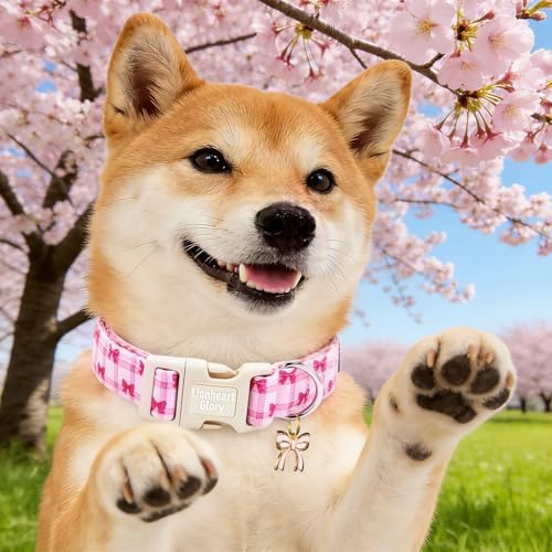 Lionheart glory Dog Collar - Cute Dog Collars Adjustable Soft Collars Pink Dogs Collar Bow for Small Dogs Puppy Girl/Boy Pet Spring Holiday