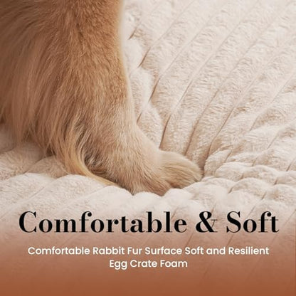 Medium Dog Bed Orthopedic Foam with Waterproof Lining