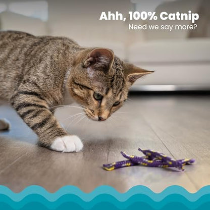 Catstages Nighttime Catnip Rolls Cat Toys - 3 Pack