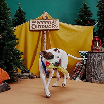 BarkBox Toxic Tony