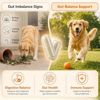 PUAINTA Probiotics for Dogs & Cats, Digestive Health Capsules,90 Ct