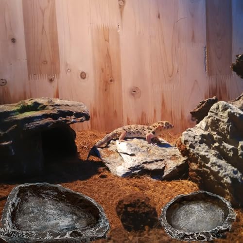 Reptile Water Dish Food Bowl, 3 Pack Reptile Feeding Bowls for Bearded Dragon Lizard Frog Gecko Tortoise Hermit Crab Snail (Black)