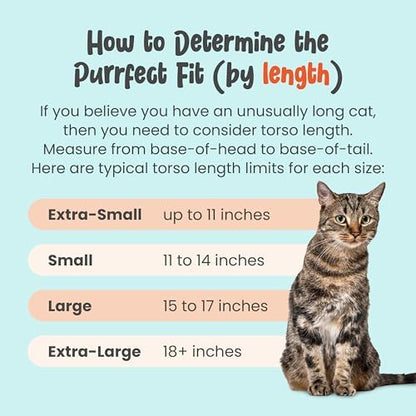 Cat-in-the-Bag Cozy Comfort Carrier - Small Charcoal Cat Carrier Soft and Pet Carrier for Nail Clipping, Vet Visits, Medication Administration, Dental Care, and Traveling