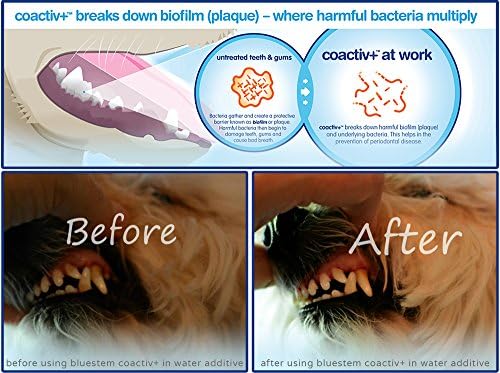 Dog Toothpaste : Vanilla Mint Flavor Tooth Paste for Dogs. Teeth Brushing Cleaner Pet Breath Freshener Oral Care Dental Cleaning Kit. Tartar & Plaque Remover Brushes