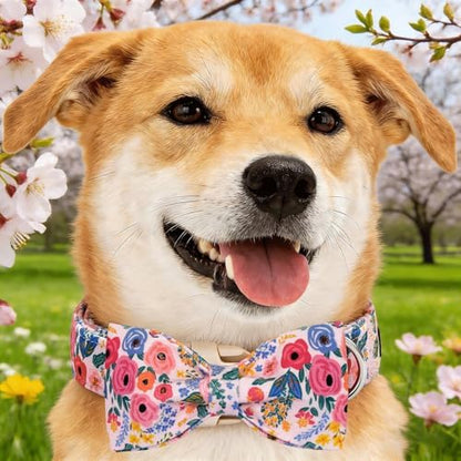 Dog Collars, Spring Blue Flower Print Cotton Collar Light Pink Adjustable Light Plastic Buckle Collar with Bow Pet Collar Gift for Medium Dogs