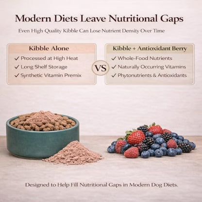 Natural Dog Company Dog Antioxidant Berry Food Topper for Dogs – Superfood Meal Topper & Multivitamin Powder Alternative, Immune Support, All Breeds & Ages Dog Food Seasoning, 8 oz Bag