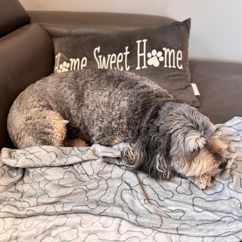 SPOT Snuggler Bones Blanket - Ultra Soft, Machine Washable Dog Blanket for Beds, Furniture Protection, Travel, and Crates - 40 x 60 inch, Grey Fleece Throw with Bone Print Design