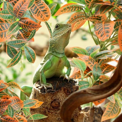 QUOZUO 2 Pack Reptile Plants, Artificial Hanging Plants with Suction Cups, Habitat Decor Plastic Vines Decorations for Bearded Dragons Lizards Snake Geckos Frogs -Gold