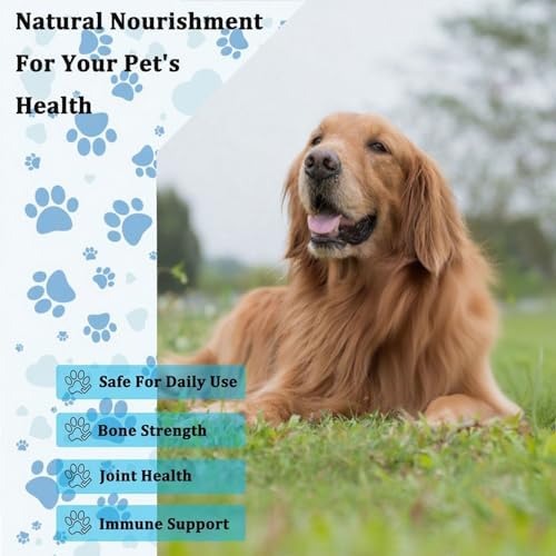 Lactoferrin for Dogs - 4oz Chicken Flavor, Supports Canine Bone, Joint & Immune Health, Premium Dog Nutritional Supplement