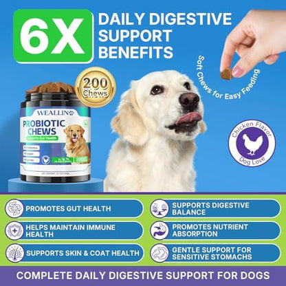 Probiotics for Dogs, Dog Probiotics for Yeast, Itchy Skin and Itchy Ears
