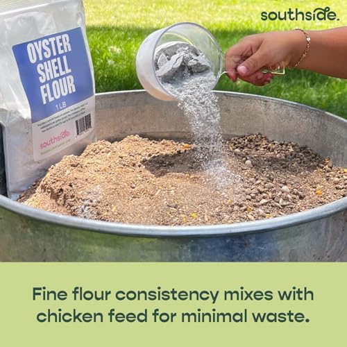Southside Plants Oyster Shell Flour - High Calcium Supplement for Chickens, Amphibians, Reptiles, Mammals, Invertebrates & Birds - Harvest Delight Chicken Scratch | 1 lbs (1 lb)