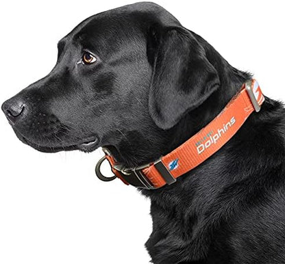 Littlearth NFL Detroit Lions Pet Premium Collar, Team Color, Small