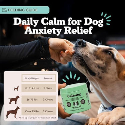 Natural Dog Company Calming Supplement for Dogs - 90 Soft Chews
