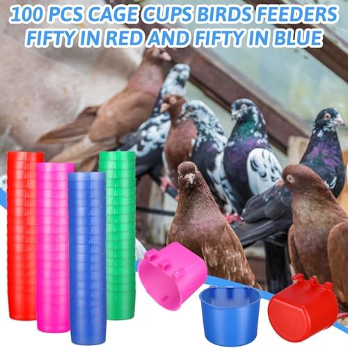 Ctosree 100 Pcs Cage Cups 8 oz Chicken Feeder, Blue, Red, Rose Red, Green