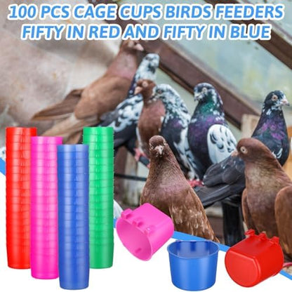 Ctosree 100 Pcs Cage Cups 8 oz Chicken Feeder, Blue, Red, Rose Red, Green