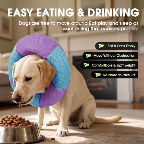 Dog Cone Soft Cone for Dogs to Stop Licking