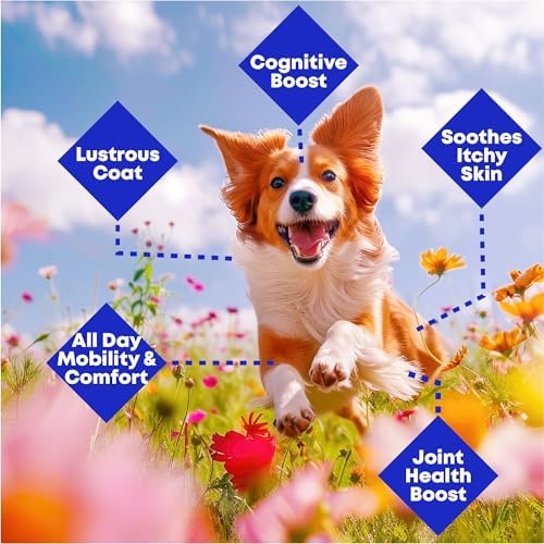 Wild-Caught Alaskan Salmon & Pollock Oil for Dogs – Omega-3 for Itchy Skin, Shedding, Allergies & Joint Support – NASC Certified – 16oz Liquid Food Topper | Club Hachiko