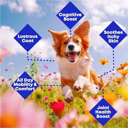 Wild-Caught Alaskan Salmon & Pollock Oil for Dogs – Omega-3 for Itchy Skin, Shedding, Allergies & Joint Support – NASC Certified – 16oz Liquid Food Topper | Club Hachiko