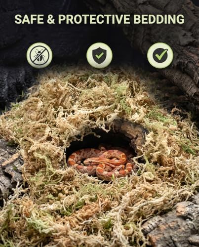 Sphagnum Moss for Reptiles & Plants, 3.4 OZ Terrarium Moss Bedding