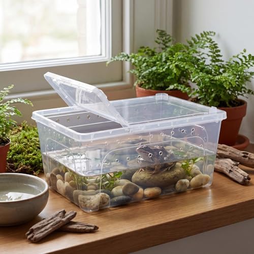 Irenare 8 Pcs Reptile Breeding Box Plastic Spider Terrarium Tarantula Feeding Box for Bearded Dragon Lizard Spider Gecko Scorpion(Vent Holes,Clear,12.6 x 8.66 x 5.91 Inches)