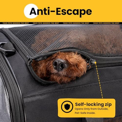 Conlun Dog Carrier Bag,Soft-Sided Pet Carriers for Dogs with 4-Sided Mesh, Cat Transport for Large Cats Small Dog Up to 20lb,Collapsible Dat Travel Carrier-L,Black