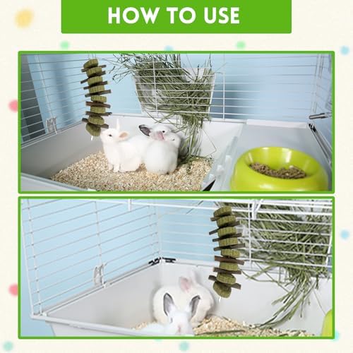 kathson Rabbit Chew Toys,Bunny Grind Teeth 100% Natural Organic Apple Wood Stick Improve Rodent Health Rabbits Hamsters Squirrel Guinea Pig(4 Pieces)