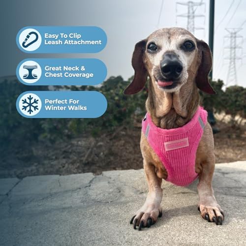 Best Pet Supplies Voyager Step-in Plush Dog Harness - Soft, Step in Vest Harness and Reflective Dog 5 ft Leash Combo with Neoprene Handle for Small and Medium Dogs, Fuchsia Corduroy, M
