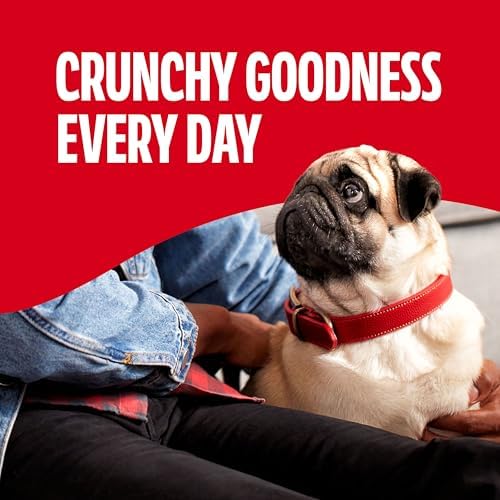 Milk-Bone Mini’s Original Biscuits, Mini Dog Treats, 6 Boxes