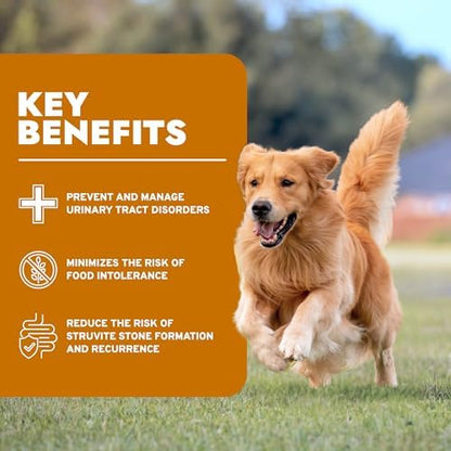 Forza10 - Urinary Dry Dog Food for Urinary Health & UTI Support, 22 lb