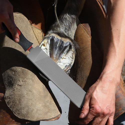 Gisafai 2 Pcs 18 and 12 Inch Rasps for Shoeing Horses with Handle Trimming File Carbon Steel Farrier Tools for Repair Horse Hooves Goat Hooves Cow Donkey Pig Animal Repairing Wood Working Supplies