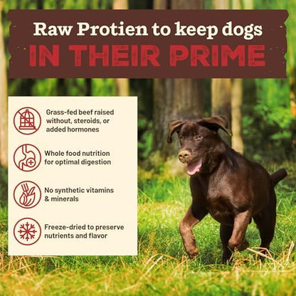 Primal Kibble in The Raw, Freeze-Dried Dog Food, Beef, 1.5 lb