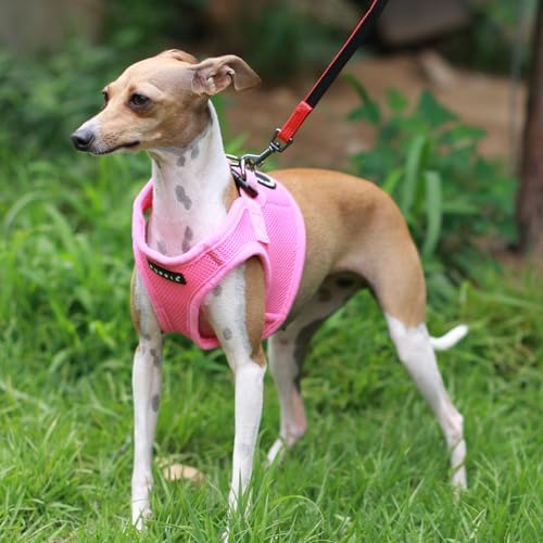 PUPPIA International Puppia Harness Soft B Vest Pink XSmall