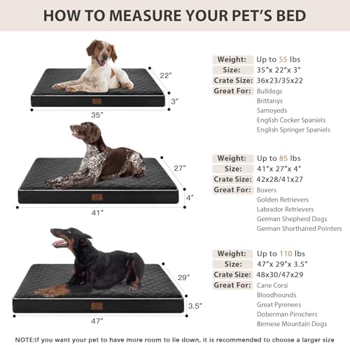 WNPETHOME Orthopedic Waterproof XL Dog Bed for Crate Cozy Sleep