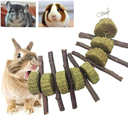 Bunny Chew Toys for Teeth, Organic Apple Wood Molar Sticks with Timothy Hay Circles for Bunny Chinchilla Guinea Pig Hamsters Holland Lop Prairie Dogs Squirrels Gerbils, Improves Dental Health