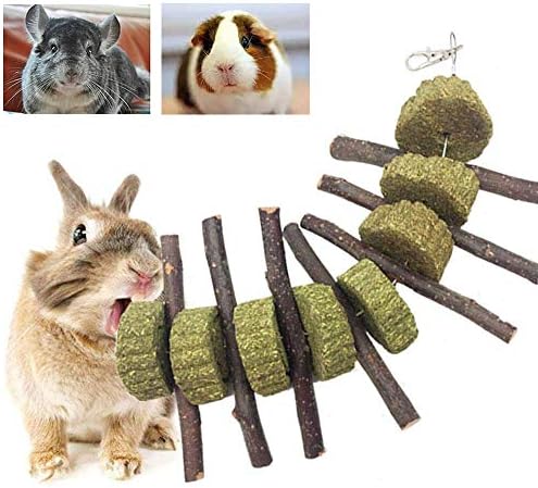 Bunny Chew Toys for Teeth, Organic Apple Wood Molar Sticks with Timothy Hay Circles for Bunny Chinchilla Guinea Pig Hamsters Holland Lop Prairie Dogs Squirrels Gerbils, Improves Dental Health