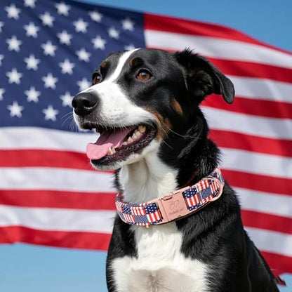 4th of July Dog Collar - US Flag Patriotic Dog Collars for Medium Dogs, Adjustable Independence Day Stars & Stripes American Flag Collar M