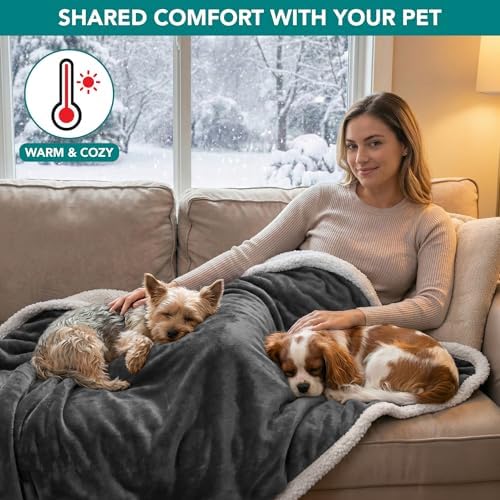 PetAmi Waterproof Dog Blanket for Medium Large Dog Pet, 60x40, Charcoal
