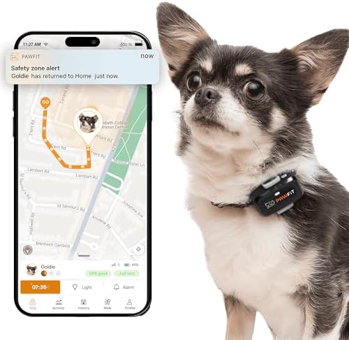 Pawfit Lite 4G GPS Dog Tracker, Live Tracking, Ultra-Light, Onyx Black