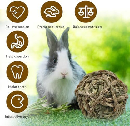 Rabbit Timothy Grass Ball 6 Pcs,Natural Bunny Grass Ball Timothy Hand Woven Chew Toys Small Animals Teeth Grinding Suitable for Hamster Guinea Pig Squirrel Totoro Gerbils