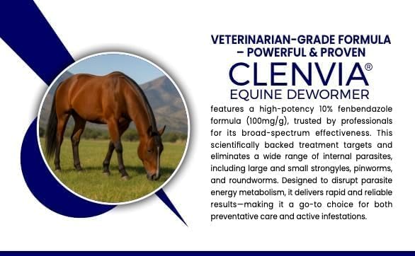 Horse Paste 10% – 1 Pack – 25g Syringes – Oral Deworming Paste for Horses of All Ages – Easy-to-Administer Equine Care