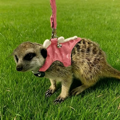 Small Animal Harness and Leash Set, Adjustable Escape Proof Ferret Harness Vest for Adult Ferret, Meerkat, King Squirrel & Fancy Rat, Soft Comfortable Pet Walking Harness with Leash