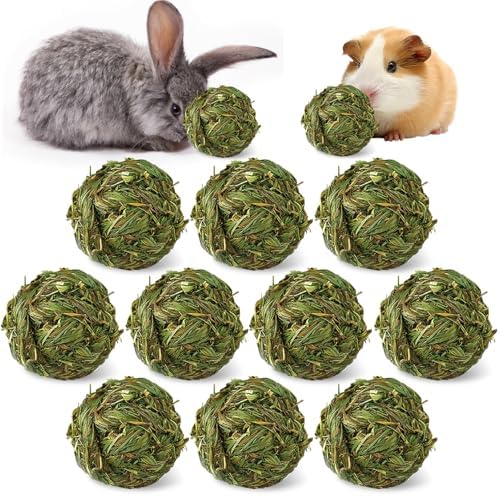 Hamiledyi 10 Pcs Rabbit Chew Ball Timothy Grass Ball Small Animal Activity Play Chew Toys Teeth Grinding for Bunny Rabbits Hamster Guinea Pigs Gerbils Chinchillas