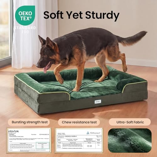 OhGeni Orthopedic Extra Large Dog Bed Couch, Memory Foam, 44-inch (Green)