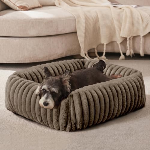 FURTIME Dog Bed for Small Dogs, Washable Orthopedic Dog Bed with Removable Cover, Rectangle Soft Calming Sleeping Puppy Bed Durable Pet Cuddler with Anti-Slip Bottom, Coffee, S (20"x19"x6")