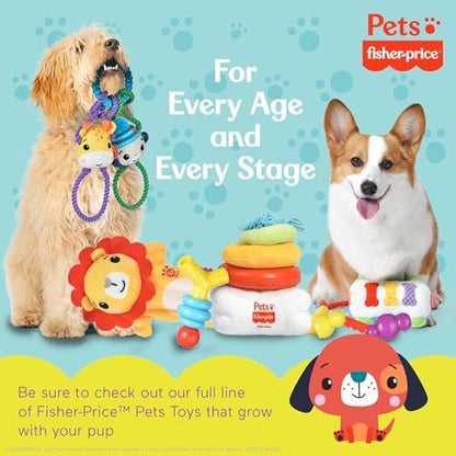Fisher Price Warming Furrr-end Cuddler Dog Toy